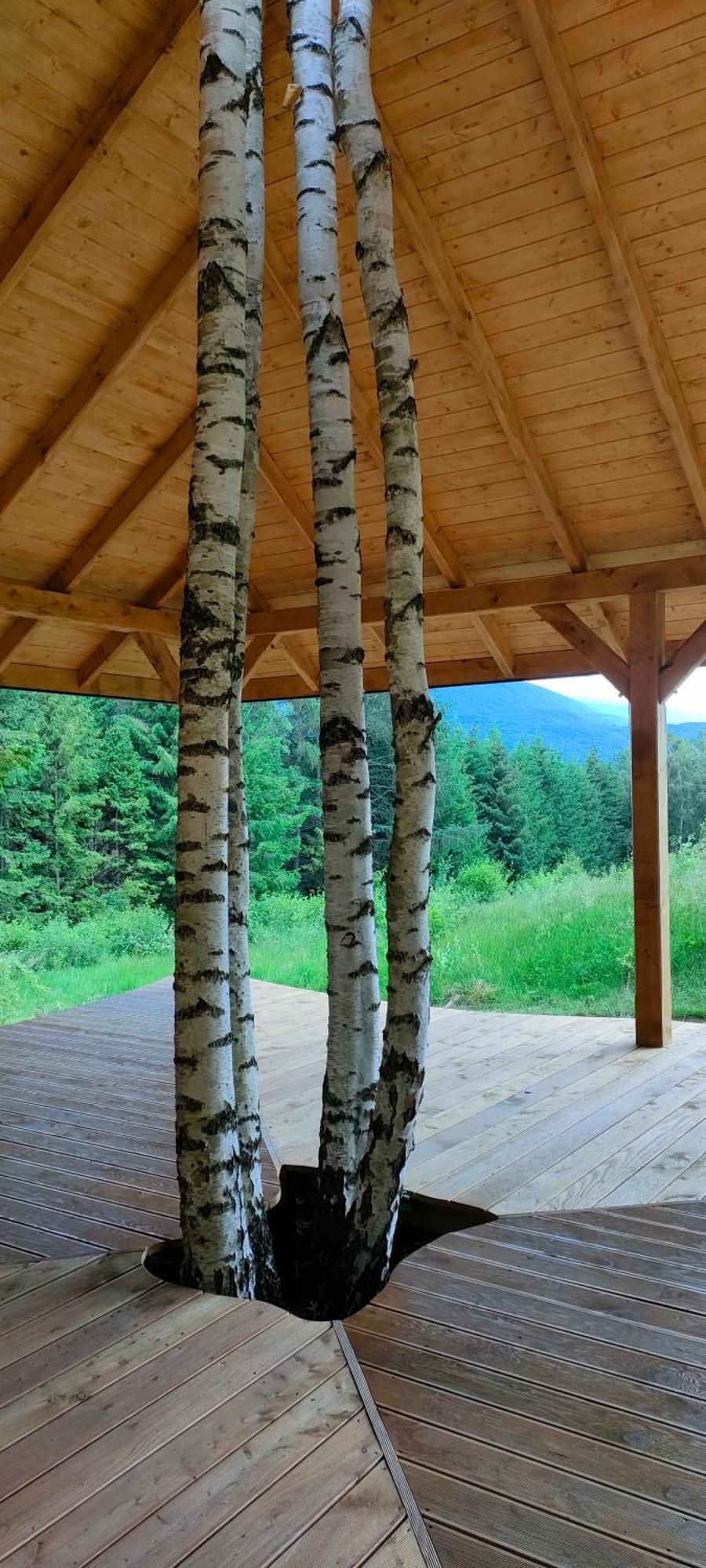 Pod Wielka Zalesiona Gora Wetlina Exterior foto